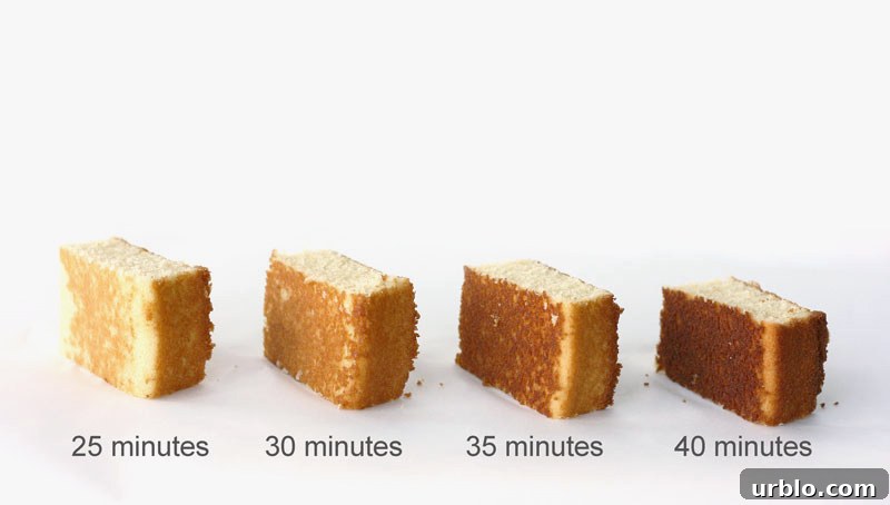 Baked to Perfection - how baking time affects cake moisture and structure | by Summer Stone for TheCakeBlog.com