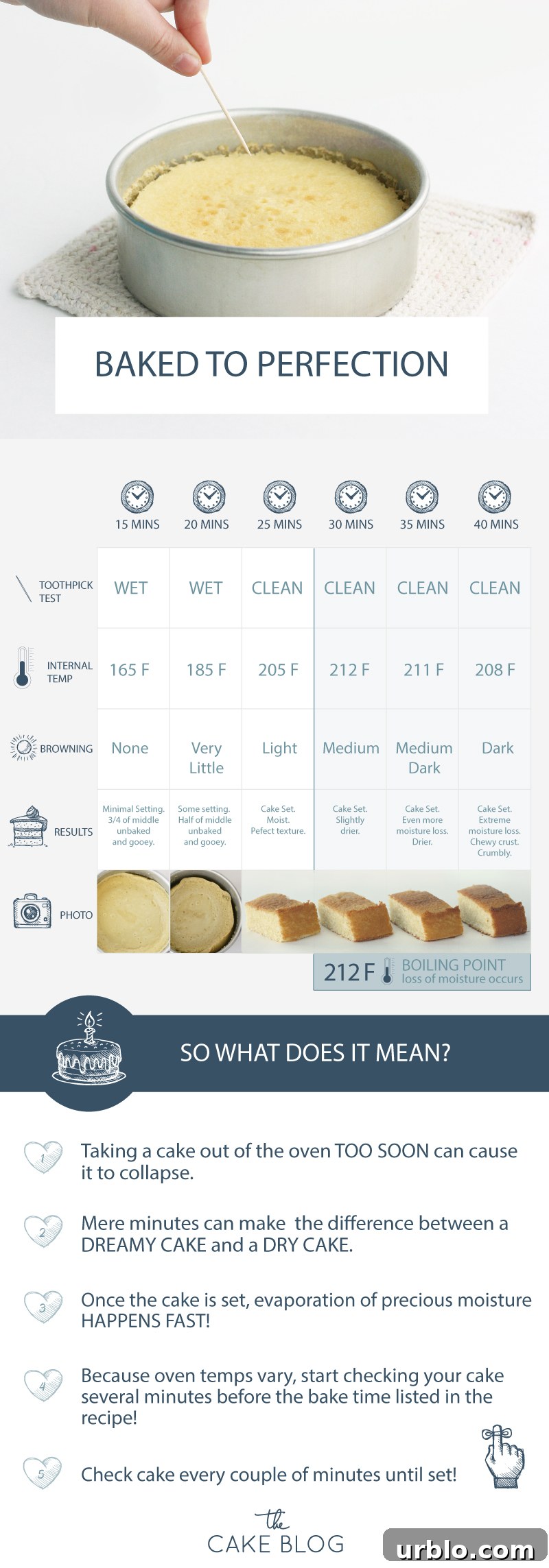 Baked to Perfection - how baking time affects cake moisture and structure | by Summer Stone for TheCakeBlog.com