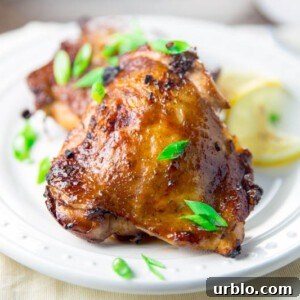 Big Green Egg Lemon Garlic Chicken