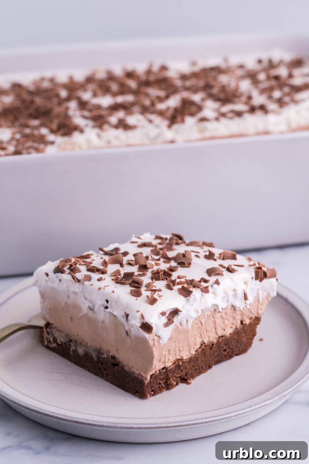 french silk cake sliced on plate with pan behind it