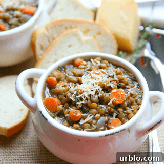 lentil soup from amy in the kitchen