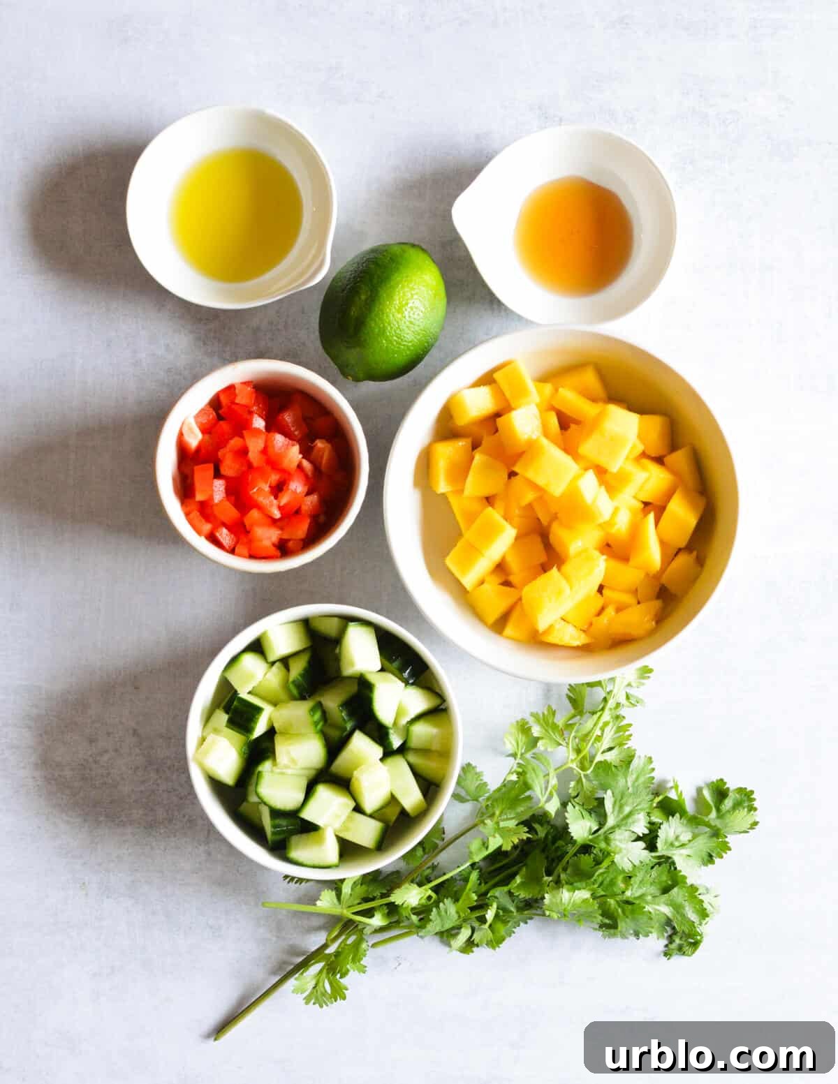 olive oil, lime, honey, mango, red bell pepper, cucumber, and cilantro.