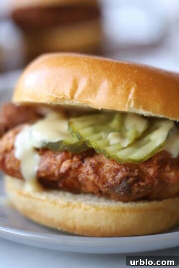 chicken burger on a brioche with pickles and honey mustard