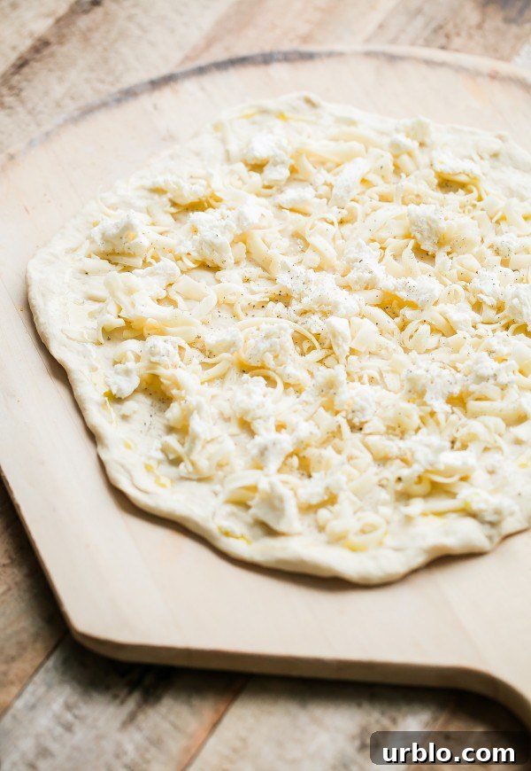 Cheese Pizza 