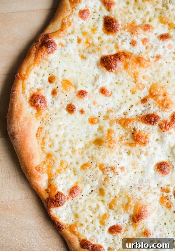 Cheese Pizza 