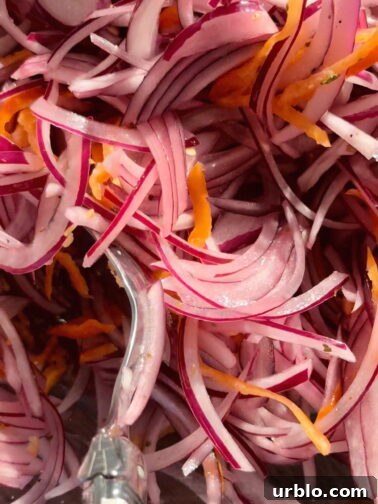 Cebollas curtidas