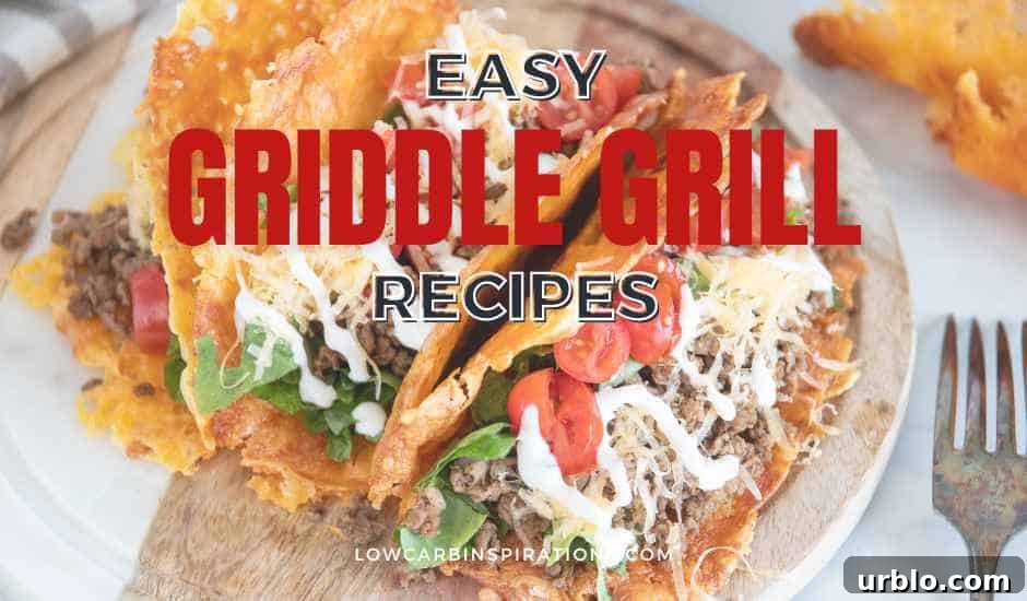 Easy Griddle Grill Recipes Cookbook