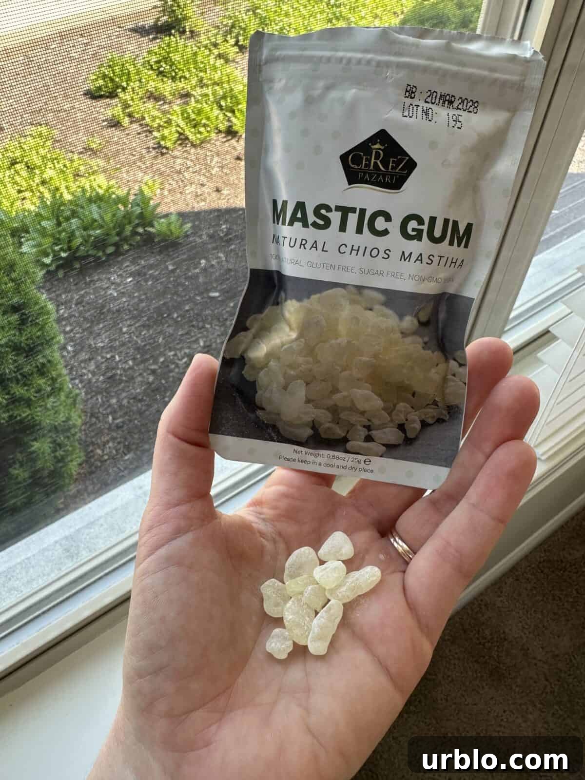 a person holding a plastic-free Mastic gum from Cerez Pazari