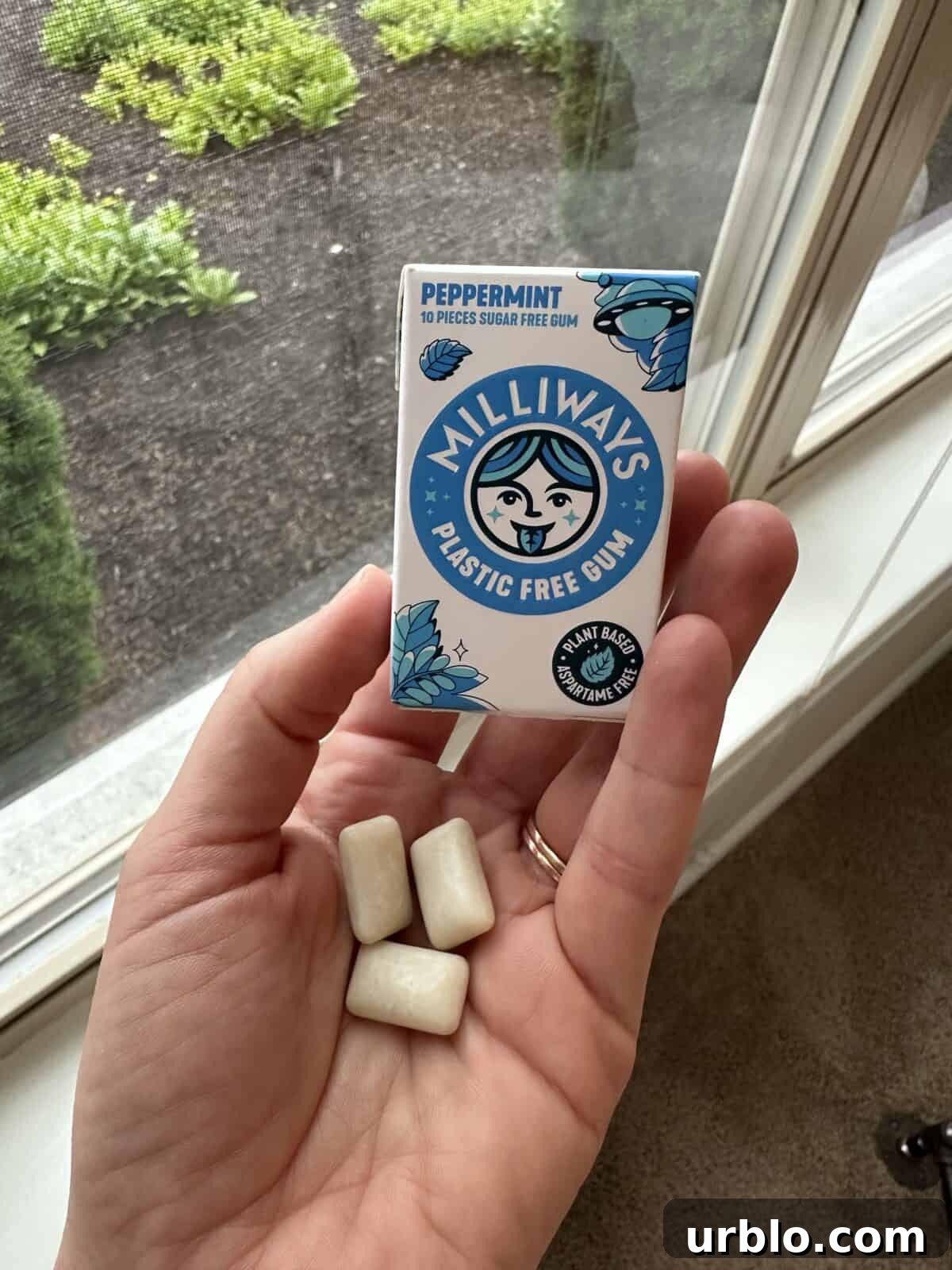 A person holding a box of plastic-free gum from Milliways.