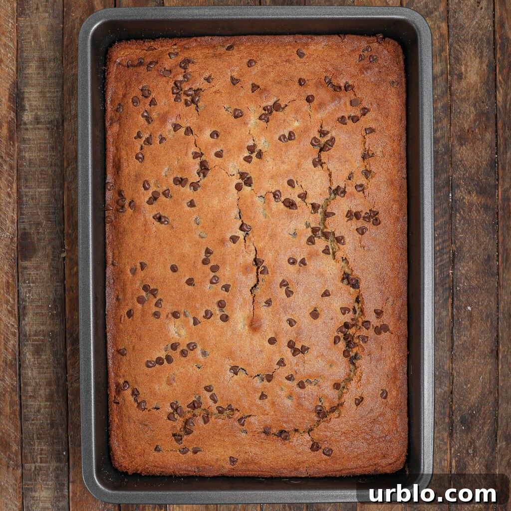 A rectangular pan filled with freshly baked Banana Chocolate Chip Snack Cake, dotted with scattered chocolate chips on top, sits on a rustic wooden surface.
