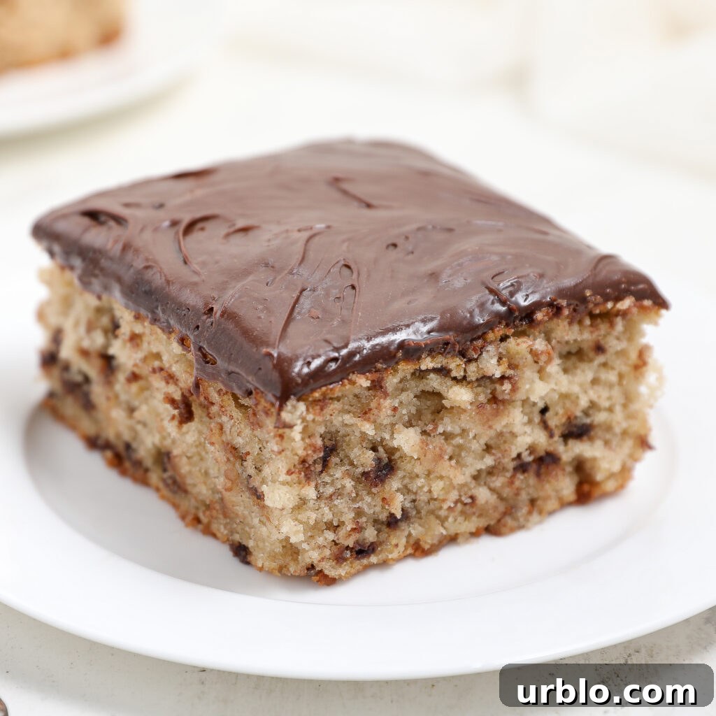 A square slice of moist Banana Chocolate Chip Snack Cake with chocolate frosting on top, served on a white plate. The cake appears fluffy with chocolate chips visible inside.