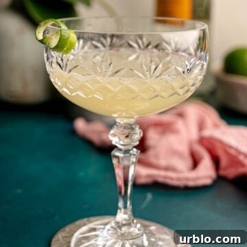 A mezcal sour cocktail.