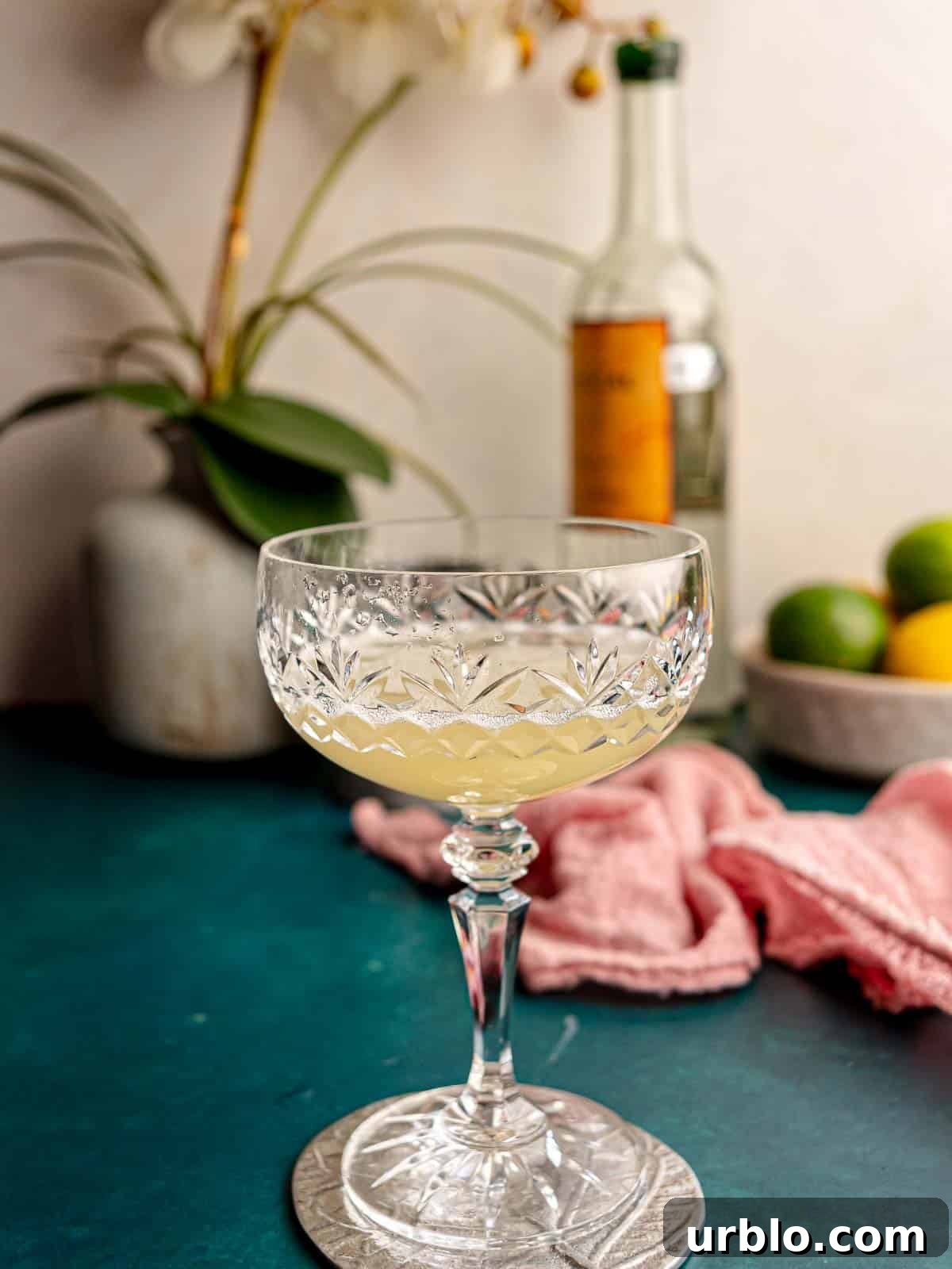 Drink in a coup glass.