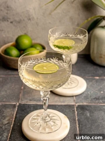 Tequila sour cocktails in coup glasses with lime slices.