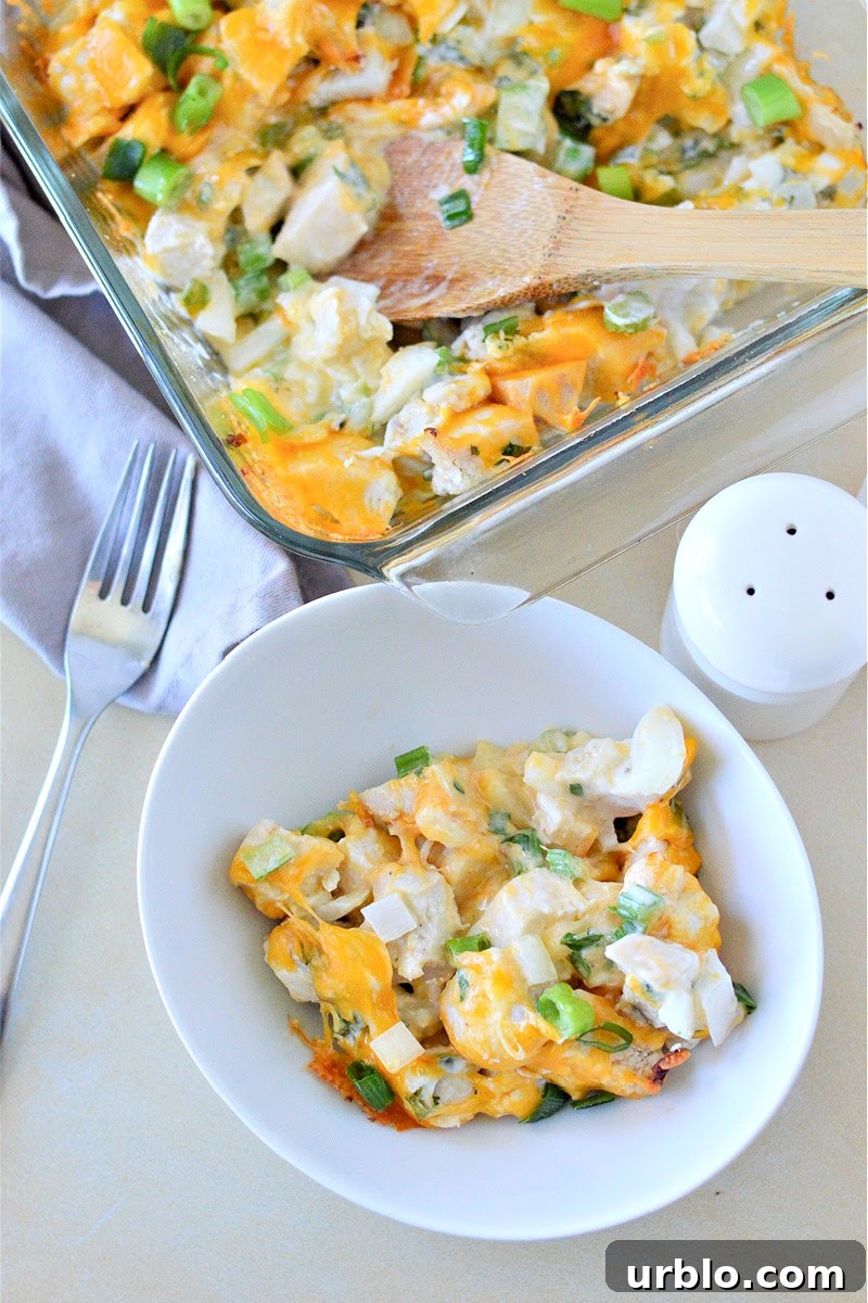 Spicy Low-Carb Hot Chicken Salad Recipe for Dinner 2 Low-Carb Hot Chicken Salad