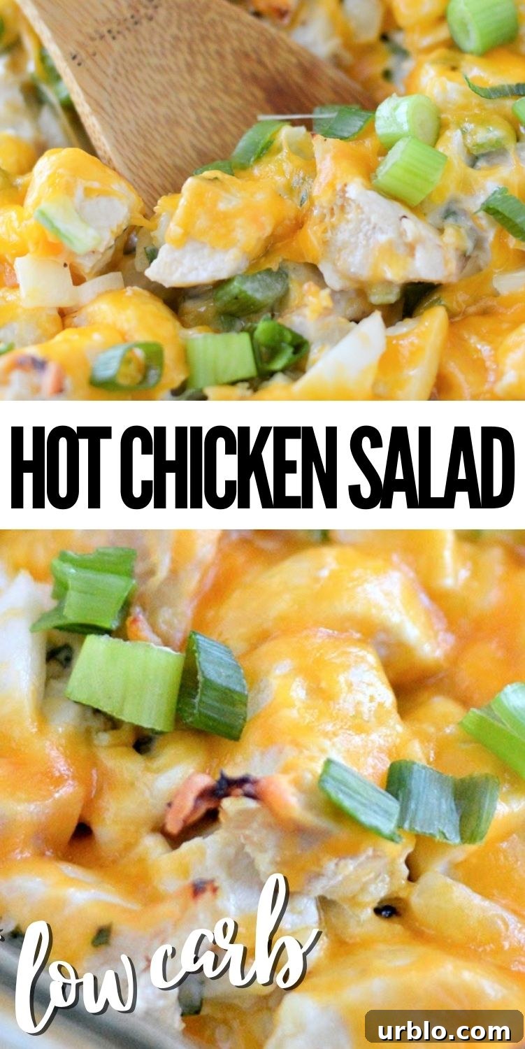 Spicy Low-Carb Hot Chicken Salad Recipe for Dinner 10 Low-Carb Hot Chicken Salad