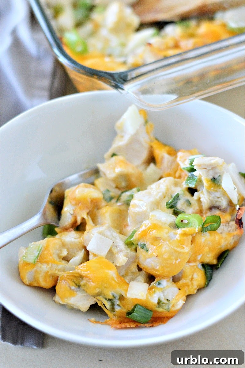 Spicy Low-Carb Hot Chicken Salad Recipe for Dinner 5 Low-Carb Hot Chicken Salad