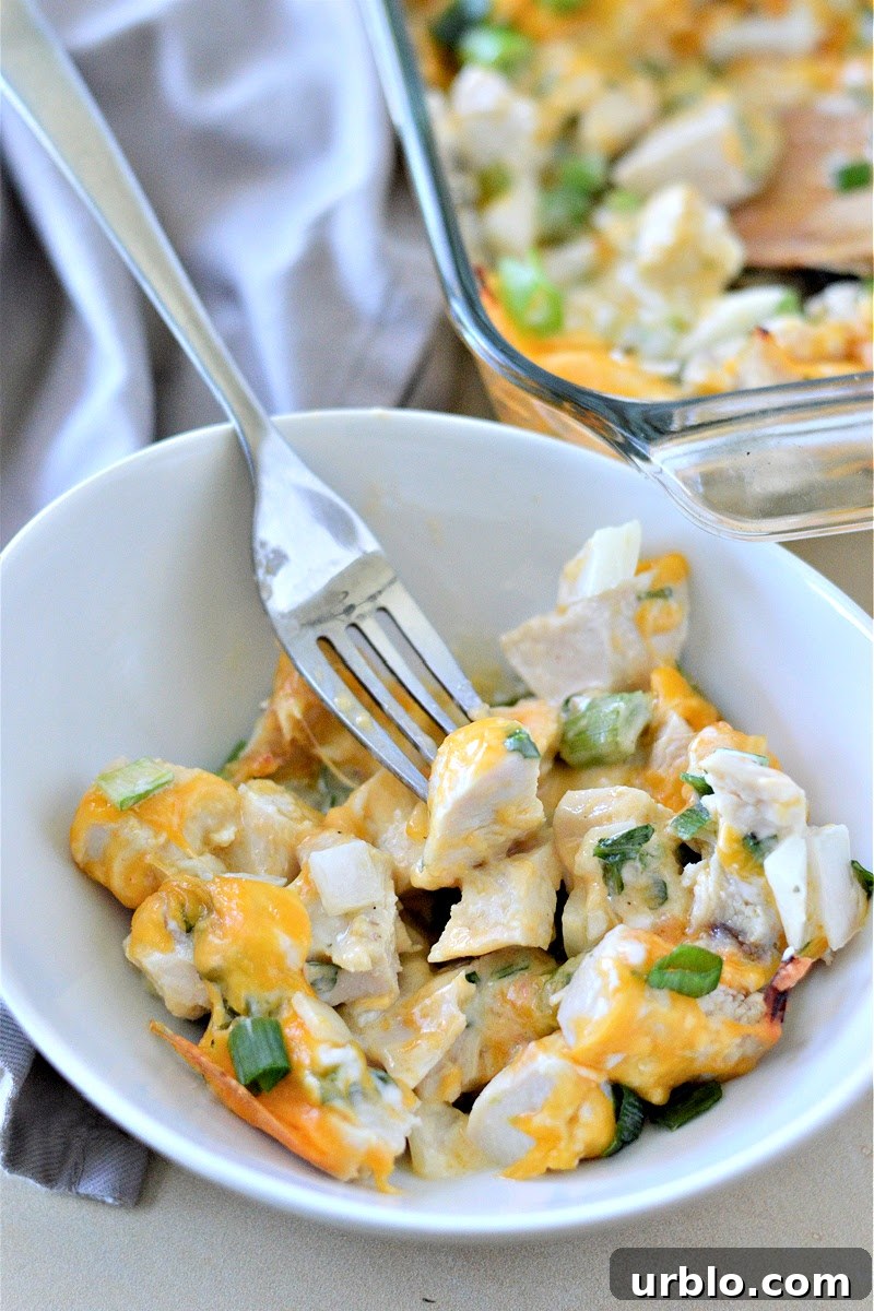 Spicy Low-Carb Hot Chicken Salad Recipe for Dinner 6 Low-Carb Hot Chicken Salad