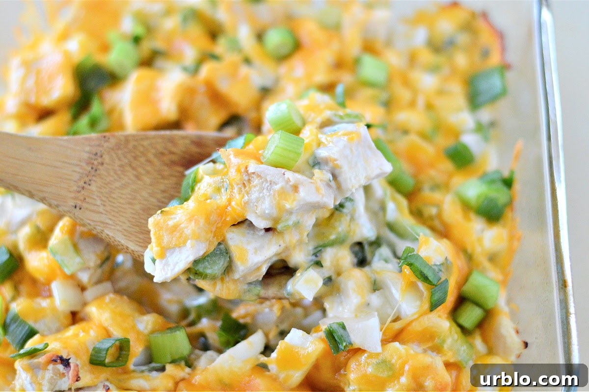 Spicy Low-Carb Hot Chicken Salad Recipe for Dinner 7 Low-Carb Hot Chicken Salad
