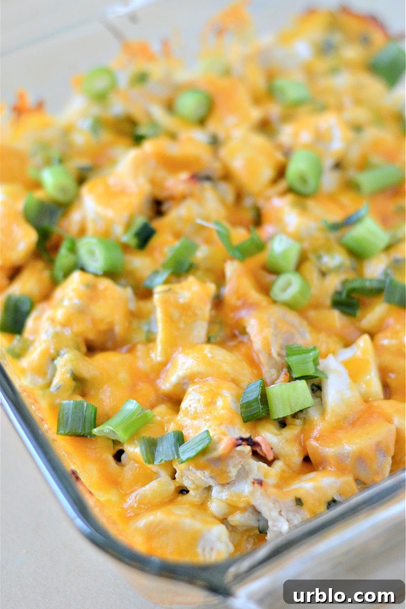 Spicy Low-Carb Hot Chicken Salad Recipe for Dinner 8 Low-Carb Hot Chicken Salad