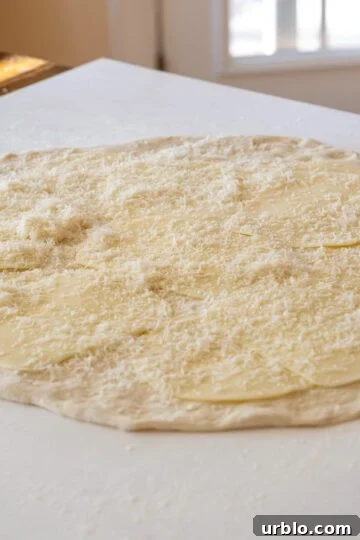 dough rolled out and topped with 3 cheeses