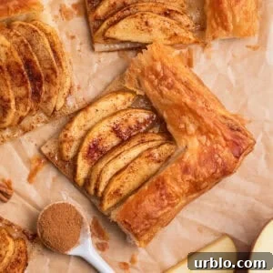 Overhead view of apple tarts on parchment with spoonful of cinnamon beside.