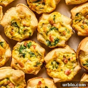 Mini quiches with puff pastry on plate topped with onion and chopped parsley.
