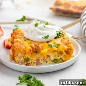 Breakfast casserole with tator tots on white plate with parsley and sour cream.