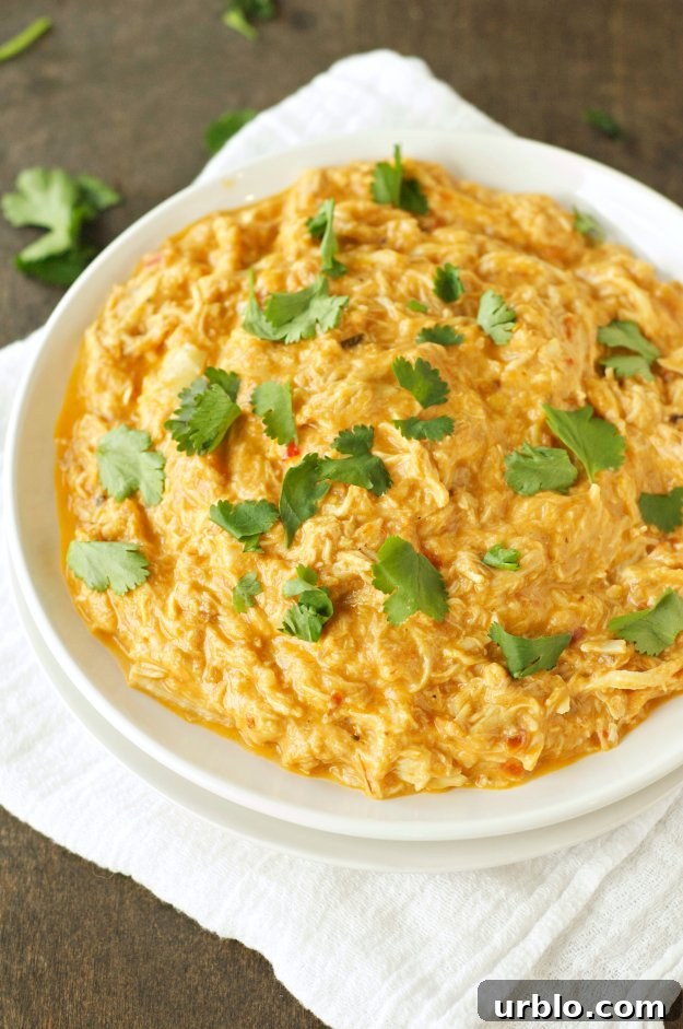 Cheesy Adobo Chicken
