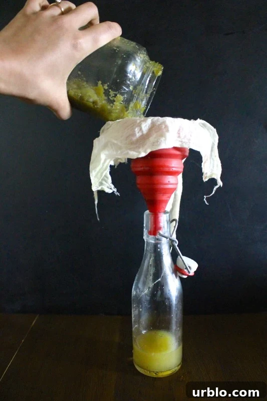 Fermented Jalapeño Garlic Hot Sauce