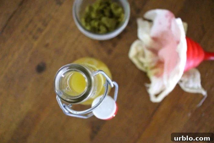 Fermented Jalapeño Garlic Hot Sauce