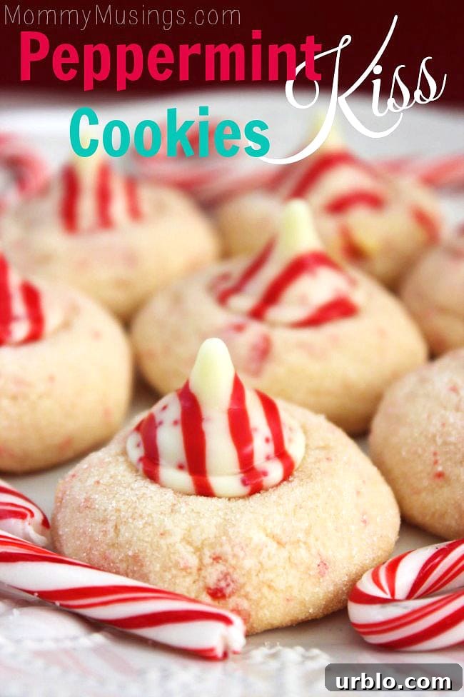 how to make the best christmas cookies