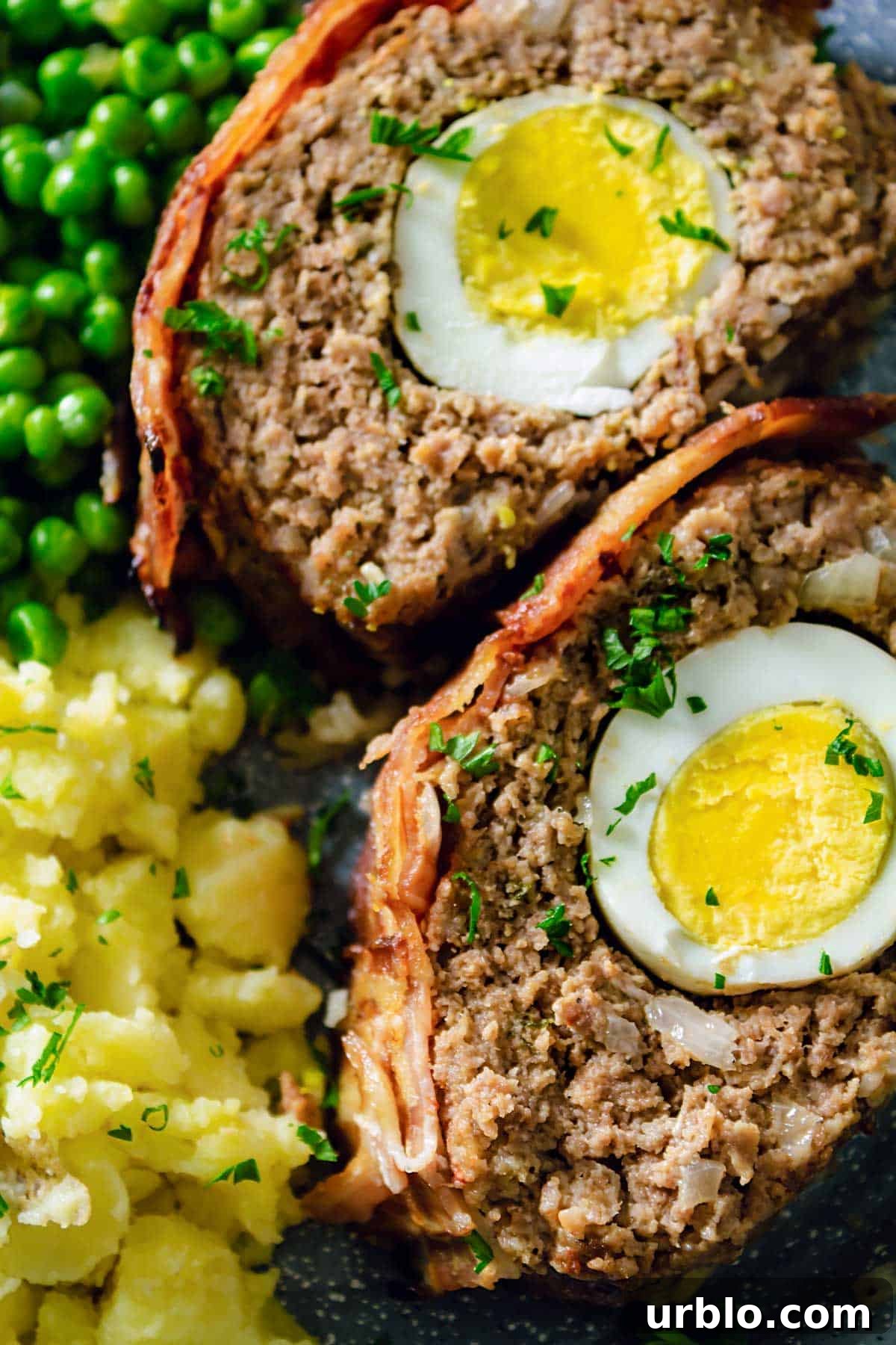 Close up of two meatloaf slices.