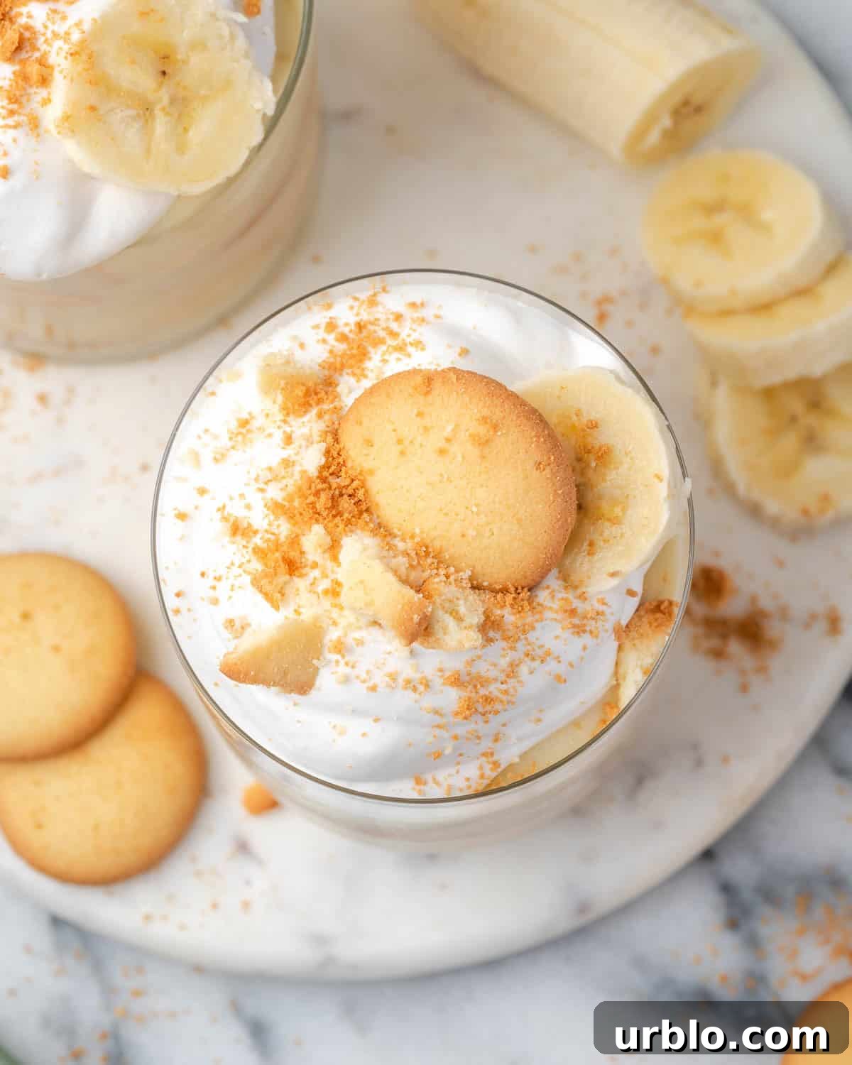 A single serving of gluten free banana pudding topped with whipped cream and vanilla wafers. 