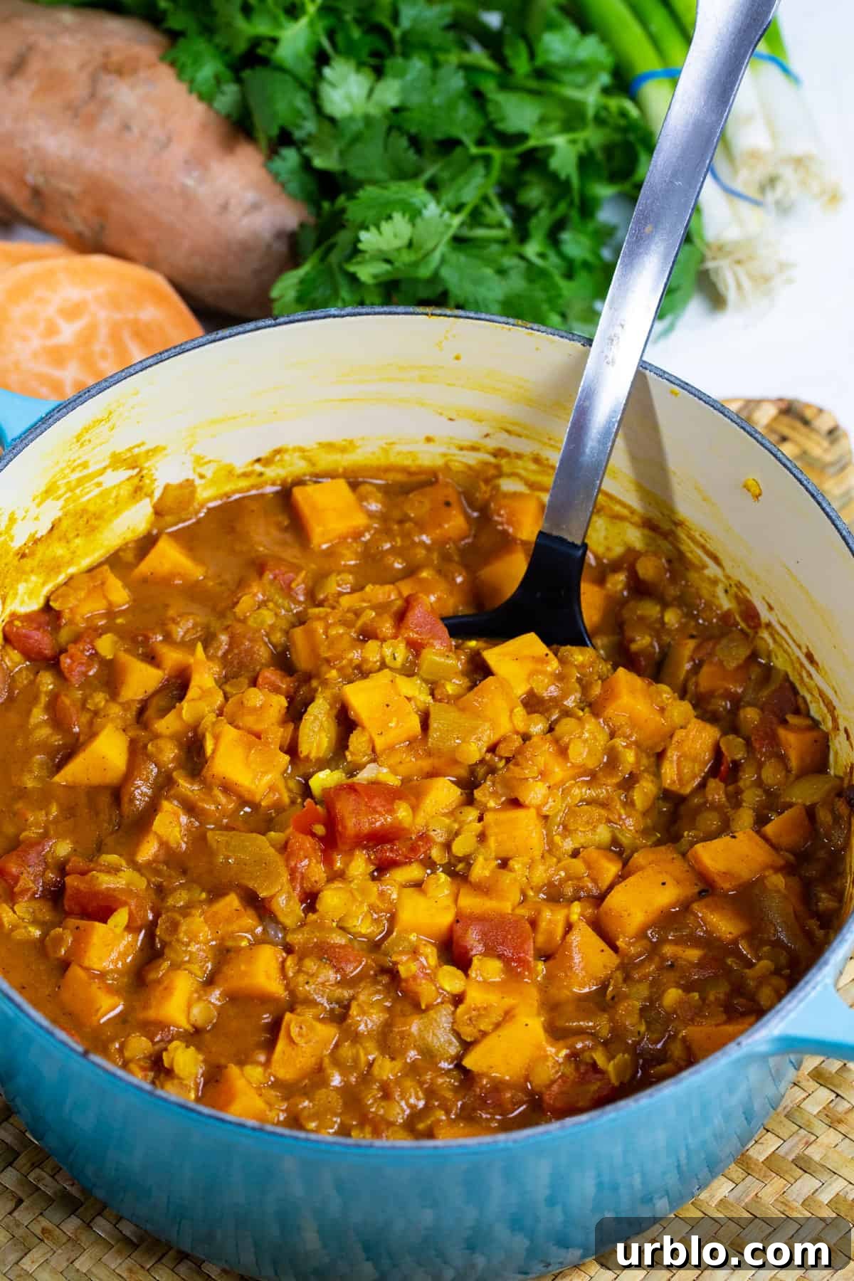 Curry in a Dutch oven.