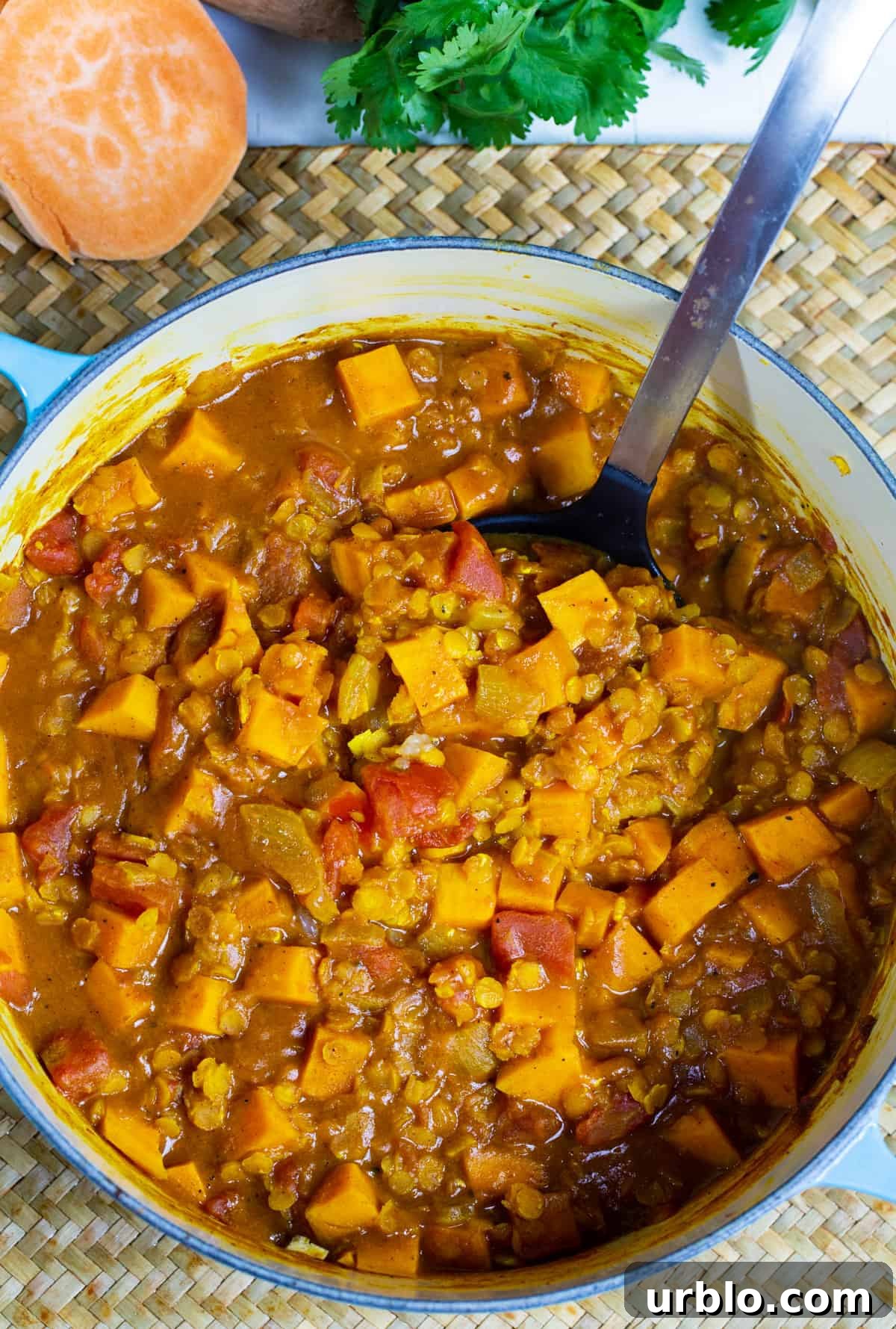 Sweet Potato and Lentil Curry in a Dutch oven.
