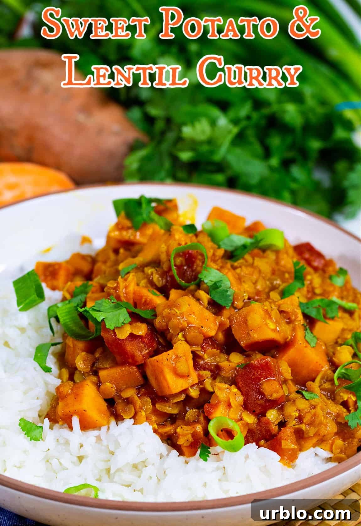 Sweet Potato Curry over white rice.