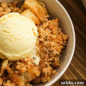 close up image of apple crisp and ice cream in white bowl