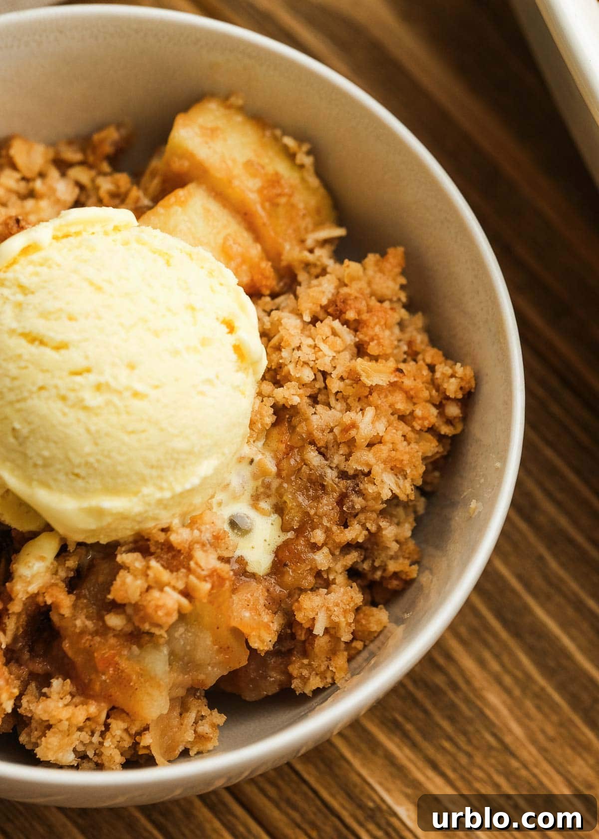 close up image of apple crisp and ice cream in white bowl