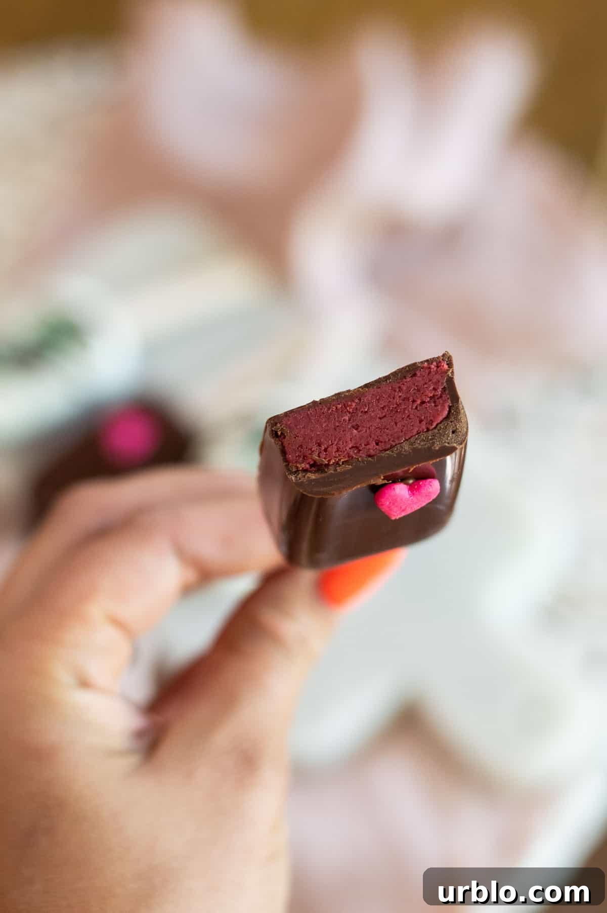 Cakesicles in a hand