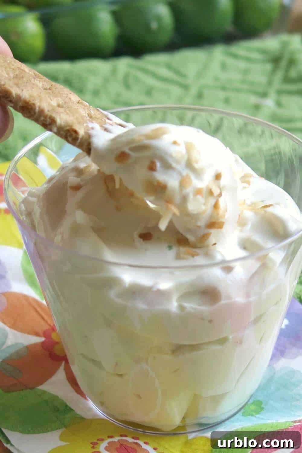 No-Bake Key Lime Pie Dip Recipe 5 A graham cracker lifting out some Key Lime Pie Dip from a glass.