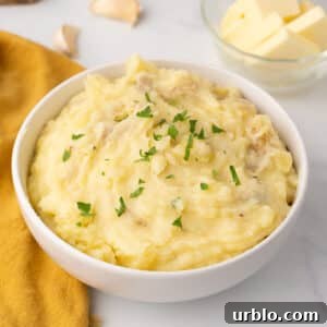 Zoomed in image of a white bowl with mashed potatoes garnished with parsley.