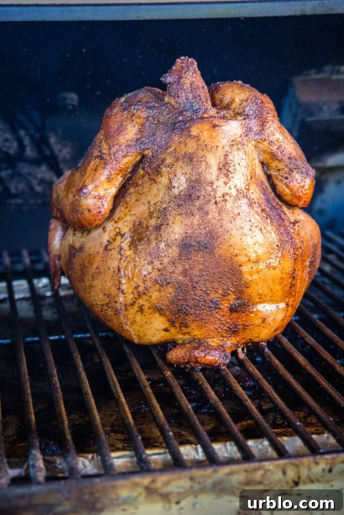cooked whole chicken on the smoker
