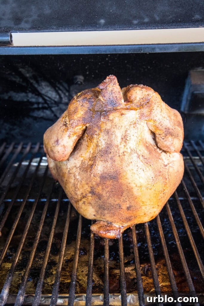 putting seasoned chicken on the smoker