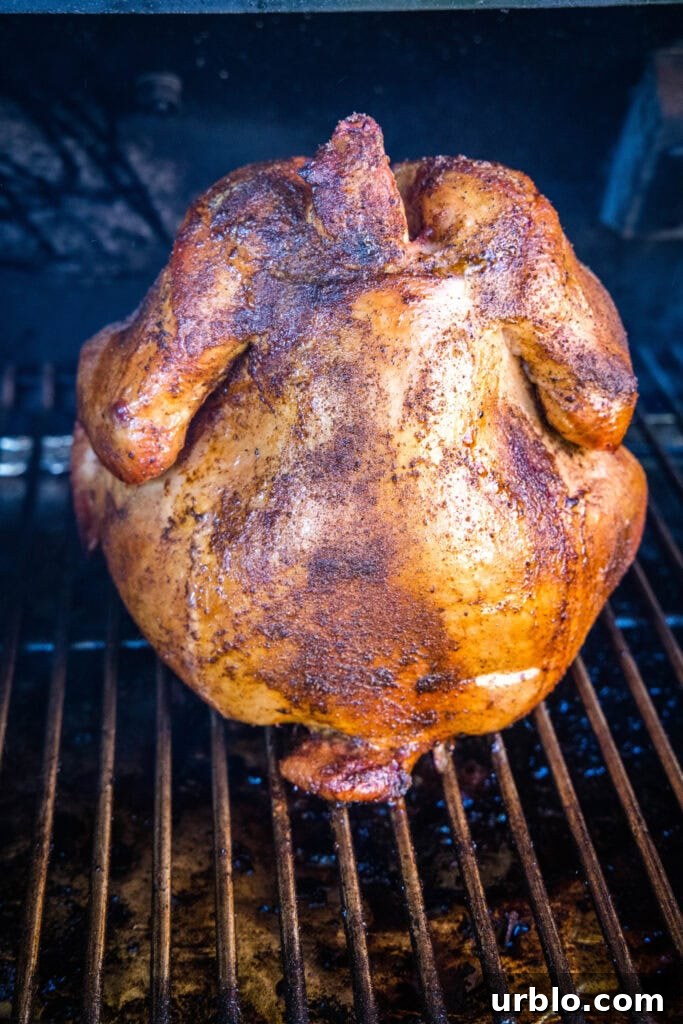 beer can chicken on the smoker