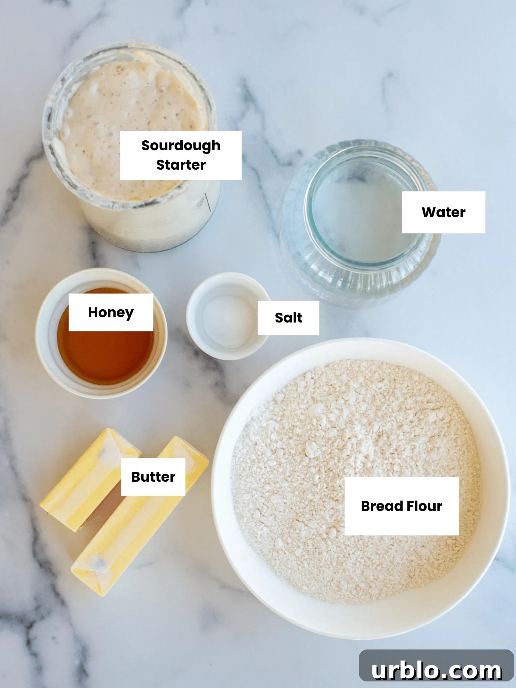 Ingredients on a countertop, labeled.