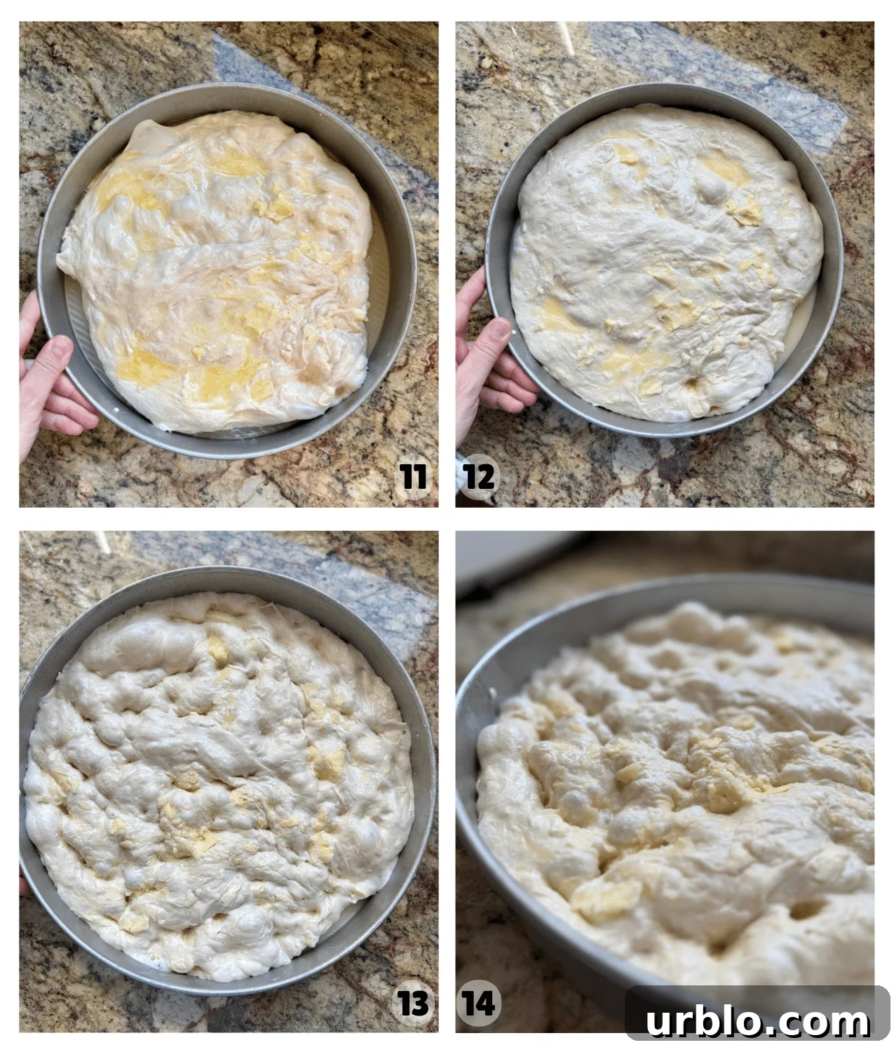 Butter sourdough focaccia during the proofing process and then dimpled before baking.