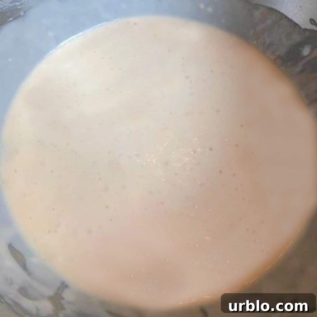 pita dough starter with activated yeast.