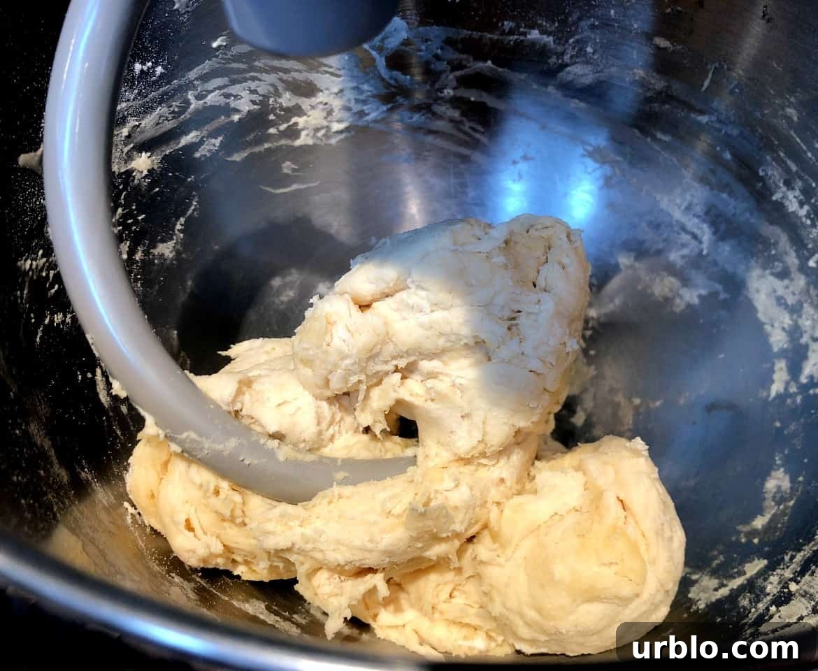 pita dough with all flour added.