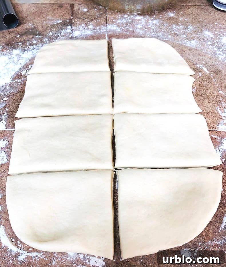 rolled out pita dough cut in 8 pieces